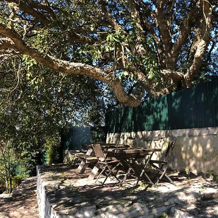 Casa Do Horizonte Homestay Bombarral