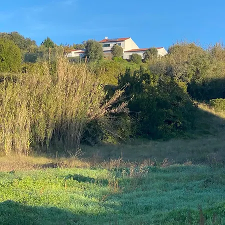 Δωμάτια σε οικογενειακή κατοικία Casa Do Horizonte Bombarral