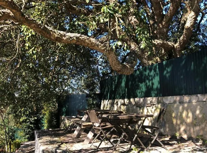 Casa Do Horizonte Homestay szállás Bombarral